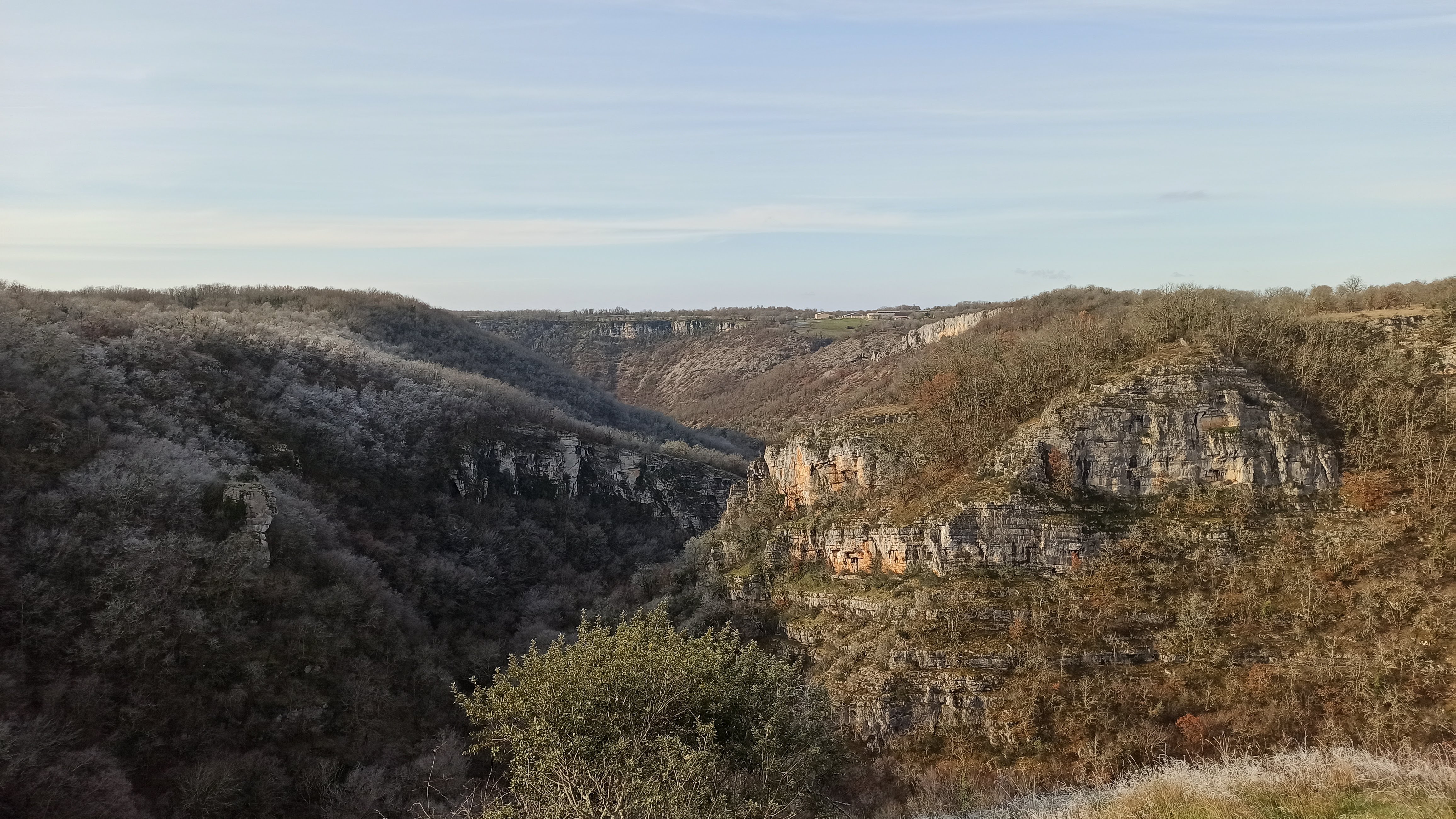 Photo n° 40 de l'avis de Veltas. fait le 30/10/2019 à 11:55