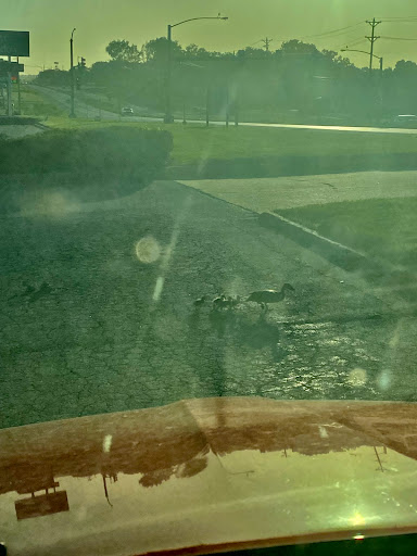 Insurance Agency «Farmers Insurance - Jonathan Olson», reviews and photos