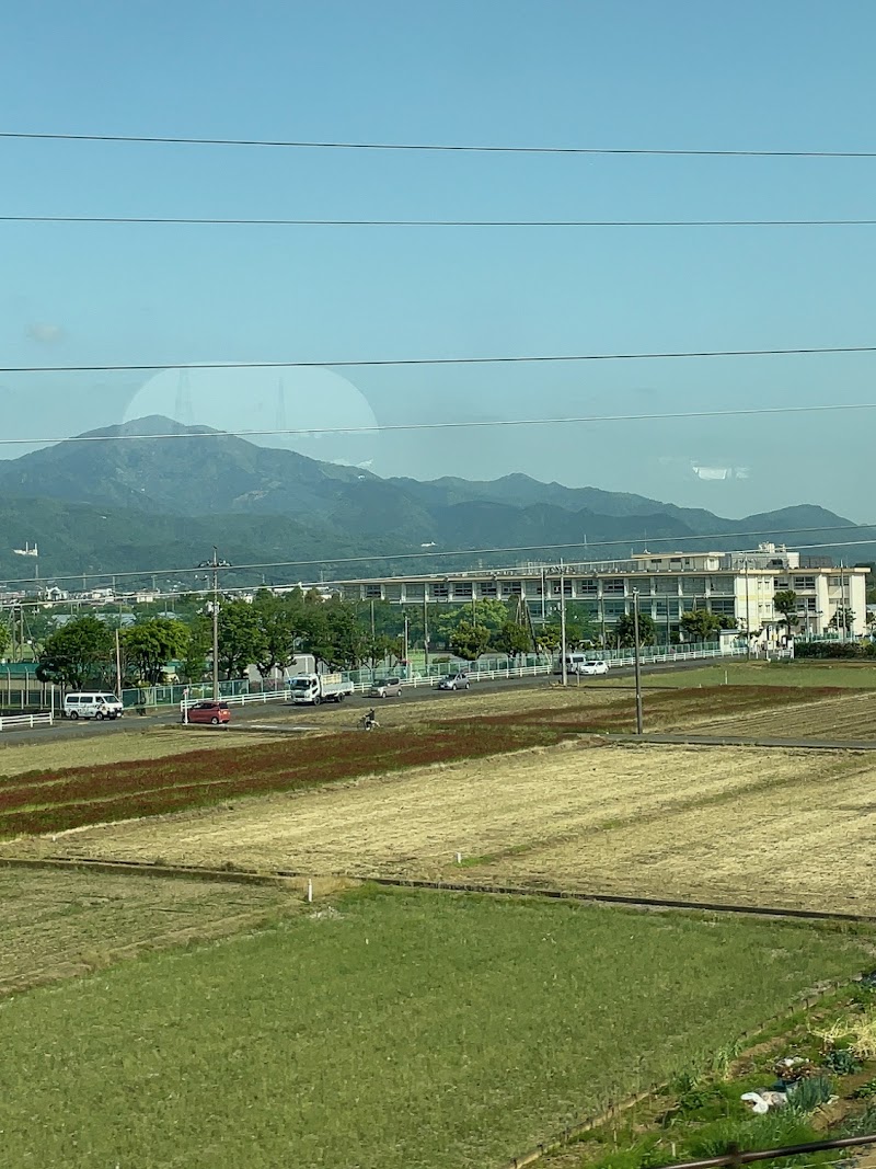 平塚市立金田小学校