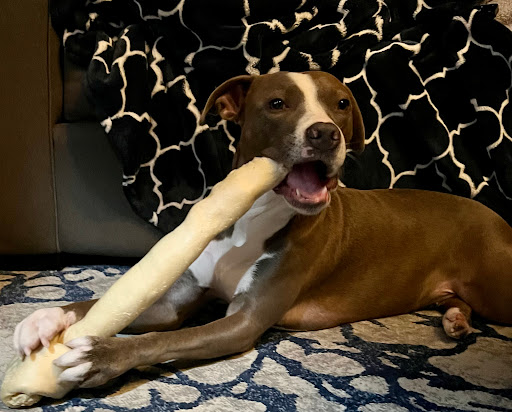 6750 4th Ave, Brooklyn, NY 11220, USA