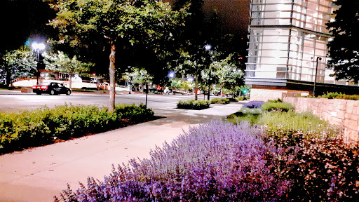 Insurance Company «Wellmark Blue Cross and Blue Shield», reviews and photos