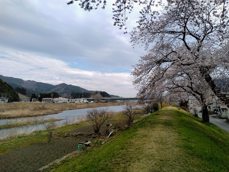 大槌川桜の回廊