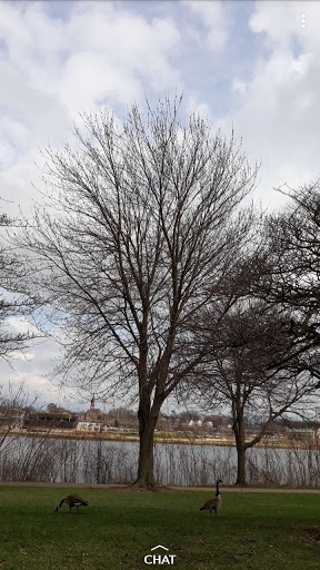 Park «McCullough Park», reviews and photos, W Illinois Ave, Aurora, IL 60506, USA