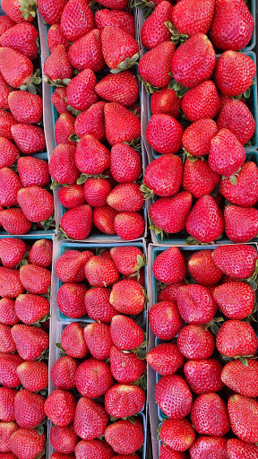 Pick your own farm produce Orange