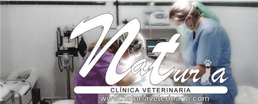 Naturia Clínica Veterinaria en Riba-roja de Túria