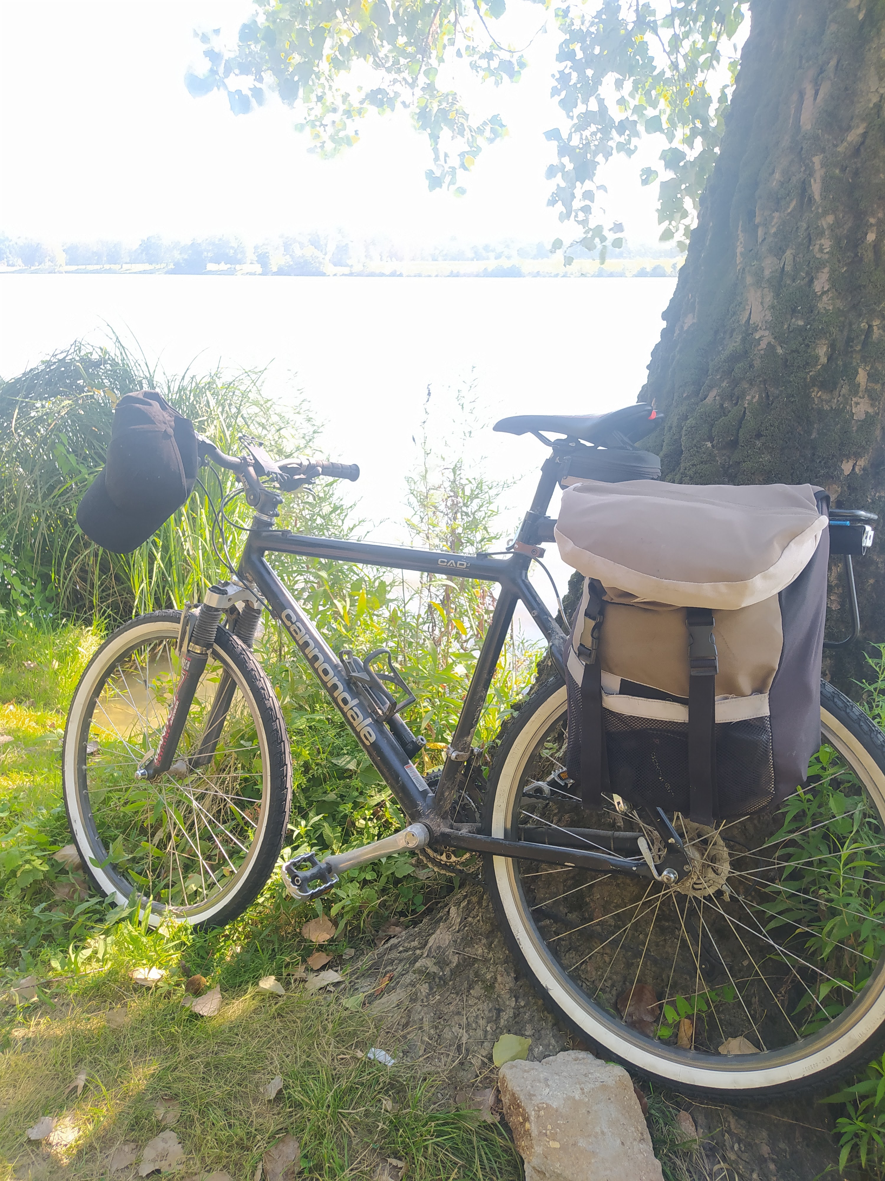 Photo n° 2 de l'avis de Simon.n fait le 12/09/2021 à 15:47