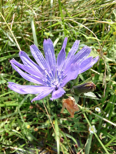 Battle Site «Third Battle of Winchester Battlefield Park», reviews and photos, 541 Redbud Rd, Winchester, VA 22603, USA