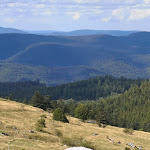Photo n° 1 de l'avis de Muriel.i fait le 19/08/2019 à 15:56 pour Col du petit Ballon à Luttenbach-prés-Munster