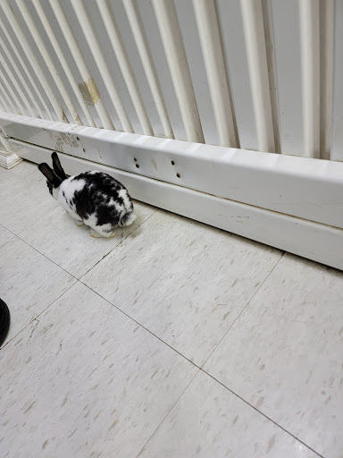 Pet Store «Pets Plus - Quakertown», reviews and photos, 117 S West End Blvd, Quakertown, PA 18951, USA