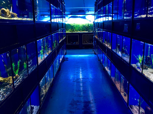 Pet Store «Sierra Fish and Pets», reviews and photos, 601 S Grady Way Suite M, Renton, WA 98057, USA