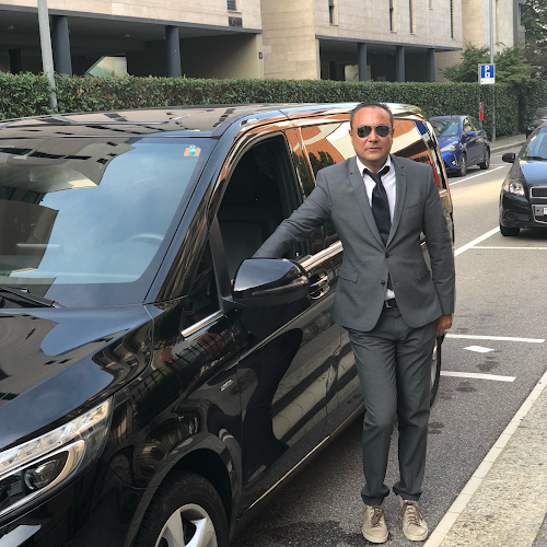 Rezensionen über Taxi Ti Lugano in Lugano - Taxiunternehmen