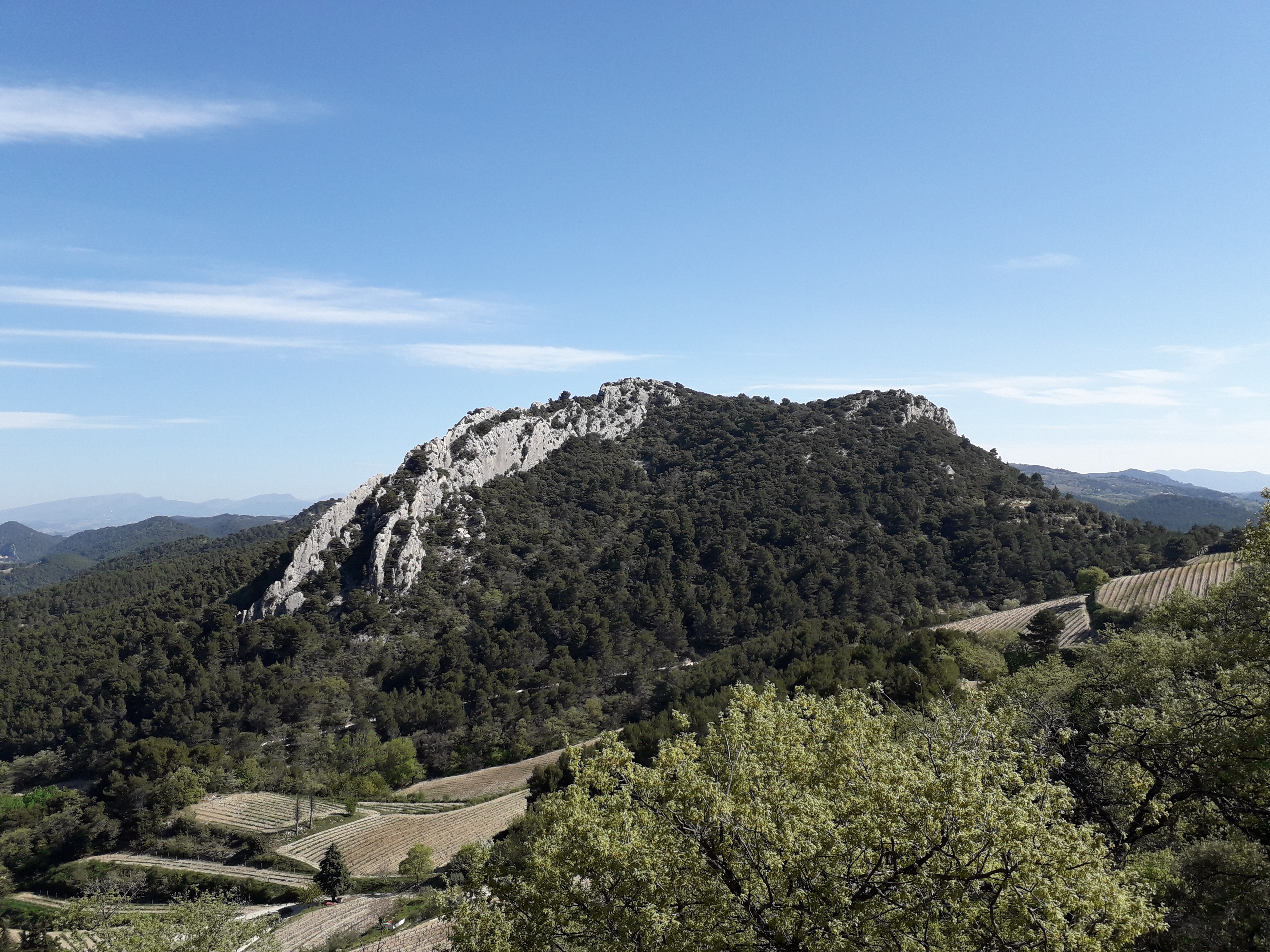 Photo n° 3 de l'avis de Stéphanie.E fait le 24/04/2022 à 18:53