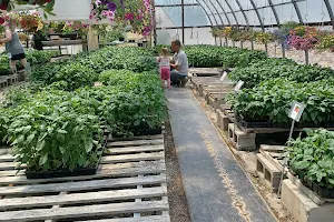 Sierra Rose Greenhouse image