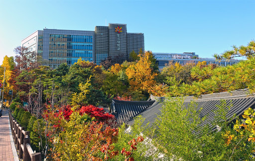 동국대학교 서울캠퍼스