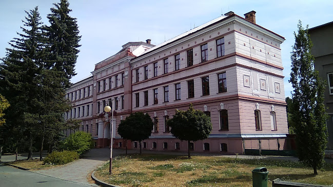 Základní škola Pátova, Česká Lípa