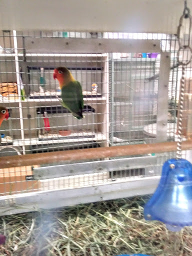 Pet Supply Store «Blackwinds Pet Supplies», reviews and photos, 2494 Military Rd, Niagara Falls, NY 14304, USA