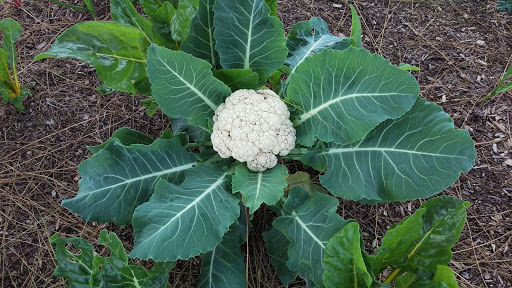 Water Park «Big Surf Waterpark Tempe», reviews and photos, 1500 N McClintock Dr, Tempe, AZ 85281, USA