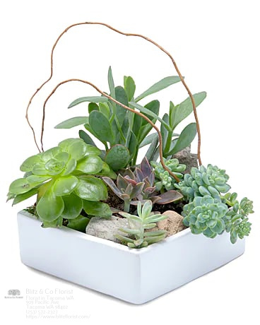 Florist «Blitz & Co Florist», reviews and photos, 909 Pacific Ave, Tacoma, WA 98402, USA