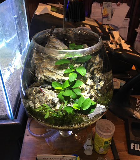 Tropical Fish Store «Aquastetics», reviews and photos, 354 E Main St, Fall River, MA 02724, USA