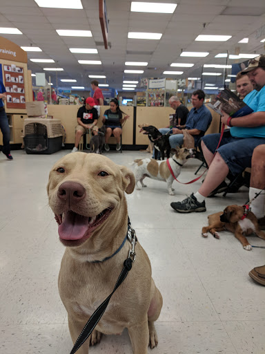 Pet Supply Store «PetSmart», reviews and photos, 6251 N Davis Hwy, Pensacola, FL 32504, USA