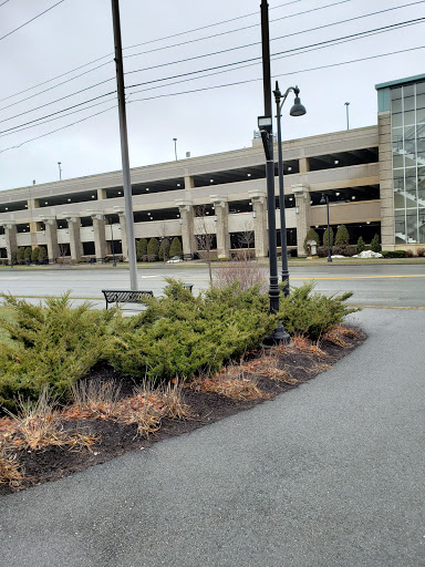 Monument «Paul Bunyan Statue», reviews and photos, 519 Main St, Bangor, ME 04401, USA