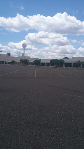 Dollar Store «Dollar Tree», reviews and photos, 1732 Dix Hwy, Lincoln Park, MI 48146, USA