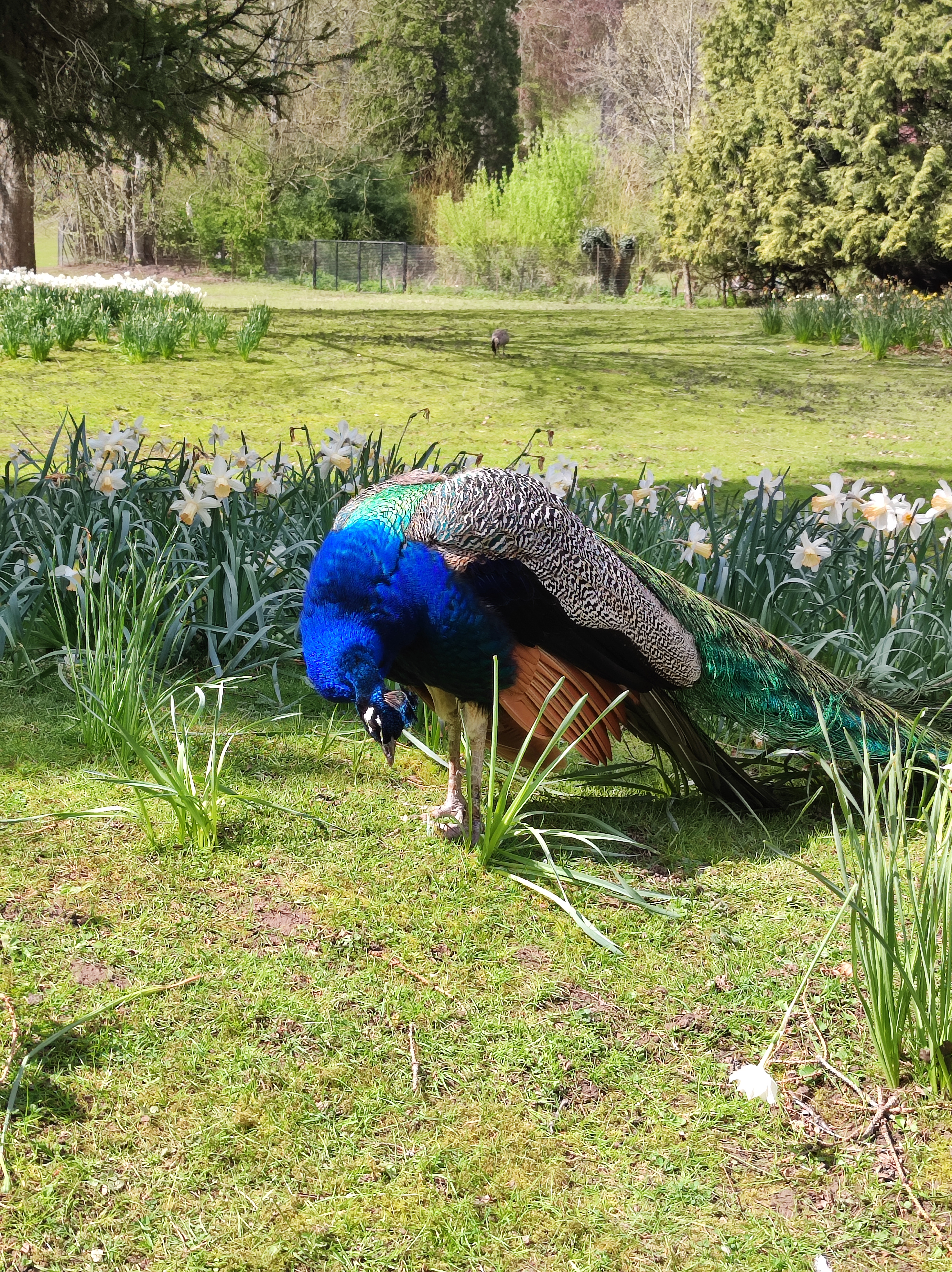 Photo n° 6 de l'avis de Yvonne.a fait le 23/04/2023 à 13:30