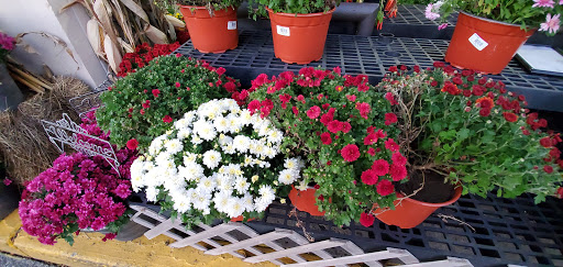 Shopping Mall «Park Ridge Shopping Center», reviews and photos, 2725 W Main St, Eagleville, PA 19403, USA