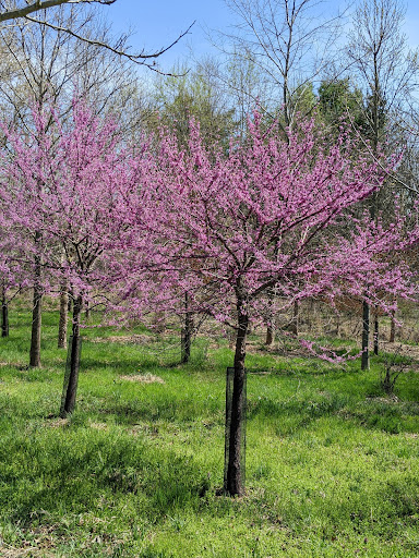 Modern Art Museum «Glenstone», reviews and photos, 12002 Glen Rd, Potomac, MD 20854, USA