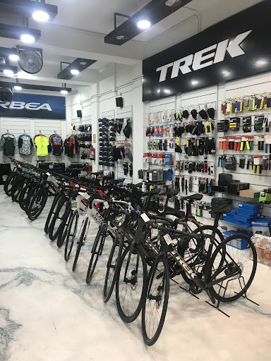 Vadebicis Las Palmas