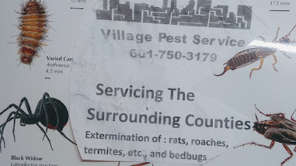 Village Termite & Pest Service