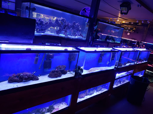 Pet Store «Animal Attraction», reviews and photos, 2518 11th Ave, Greeley, CO 80631, USA