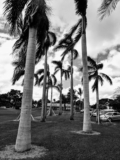 Golf Course «Granada Golf Course», reviews and photos, 2001 Granada Blvd, Coral Gables, FL 33134, USA