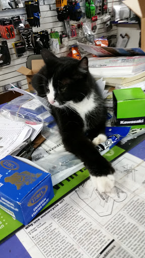 Yamaha Motorcycle Dealer «Wizard of Wheels Yamaha Kawasaki», reviews and photos, 1088 Main St, Crete, IL 60417, USA