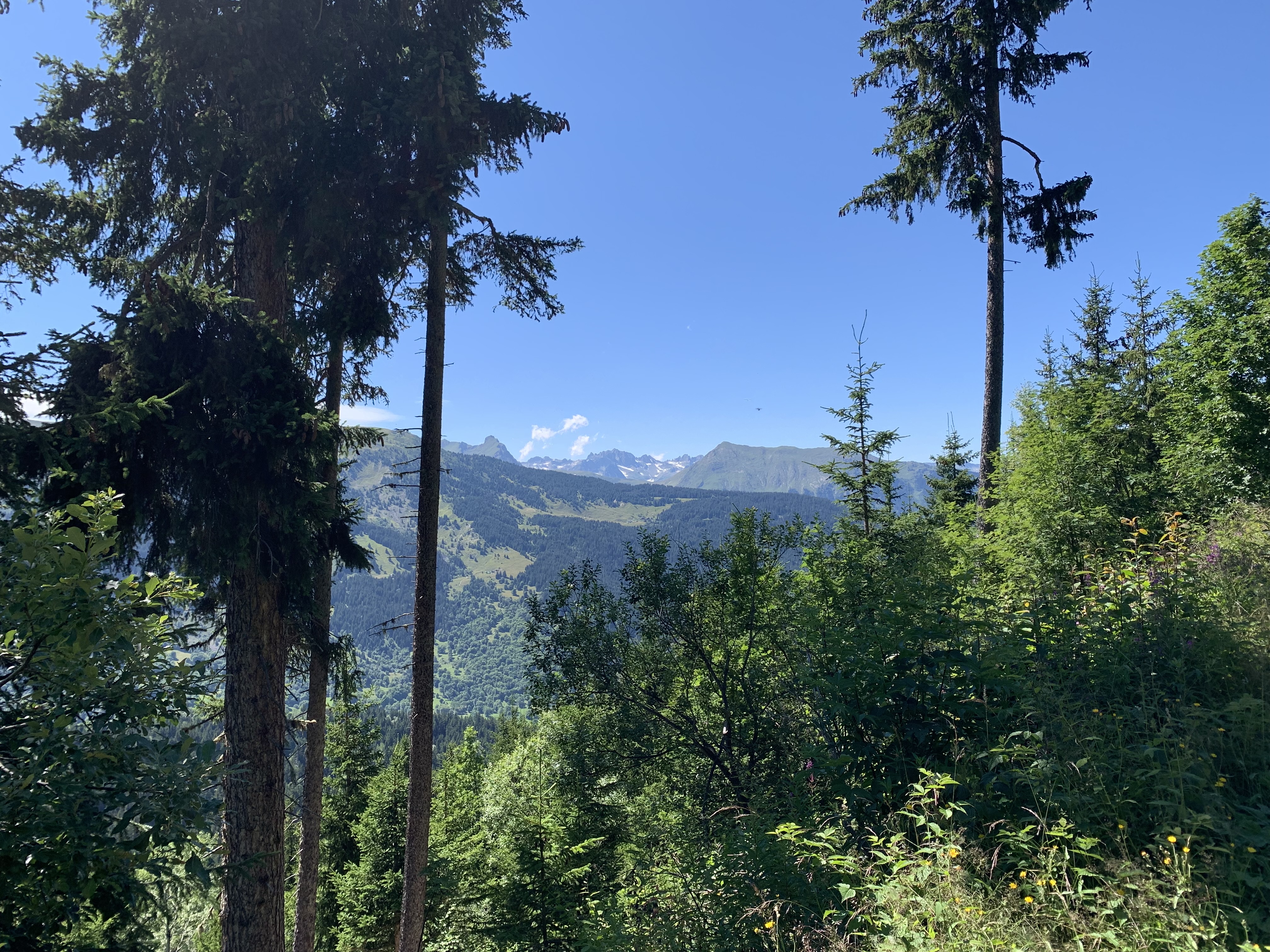 Photo n° 5 de l'avis de Wil.o fait le 15/08/2021 à 16:51