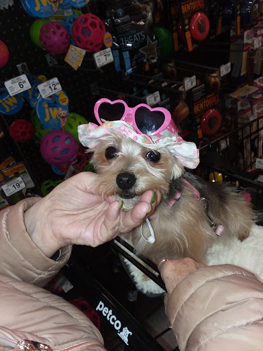 Pet Supply Store «Petco Animal Supplies», reviews and photos, 19 Shining Willow Way, La Plata, MD 20646, USA