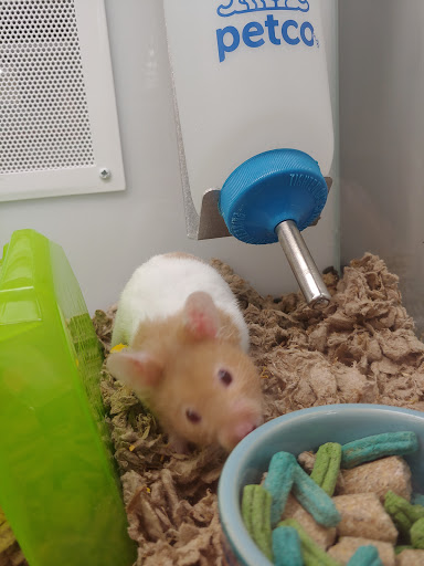 Pet Supply Store «Petco Animal Supplies», reviews and photos, 4950 S 76th St, Greenfield, WI 53220, USA