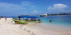 Grassland Island beach'in fotoğrafı geniş bir kıyı şeridi ile birlikte