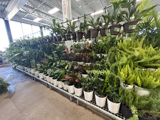 Home Improvement Store «Menards», reviews and photos, 7800 Lakeland Ave N, Brooklyn Park, MN 55445, USA