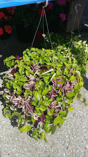 Produce Market «Iroquois Fruit Market», reviews and photos, 5405 New Cut Rd, Louisville, KY 40214, USA