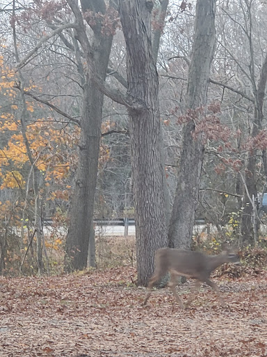 State Park «Wilson Mountain Reservation», reviews and photos, 384 Common St, Dedham, MA 02026, USA