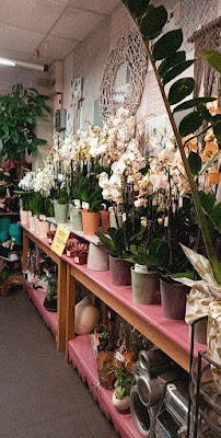 Servifleurs à Rethel
