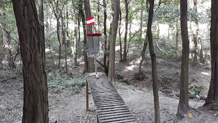 Discgolf Eisenstadt Pfadfinderwiese