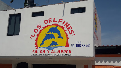 Salón y Alberca 'Los Delfines' - C. Rizo de Oro 41, Plan de Ayala, 29110  Tuxtla Gutiérrez, Chis.