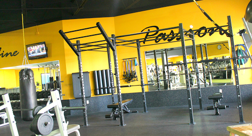 Physical Fitness Program «Contour Fitness», reviews and photos, 34314 US Hwy 19 N, Palm Harbor, FL 34684, USA