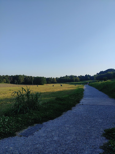 Montesolaro à Montesolaro