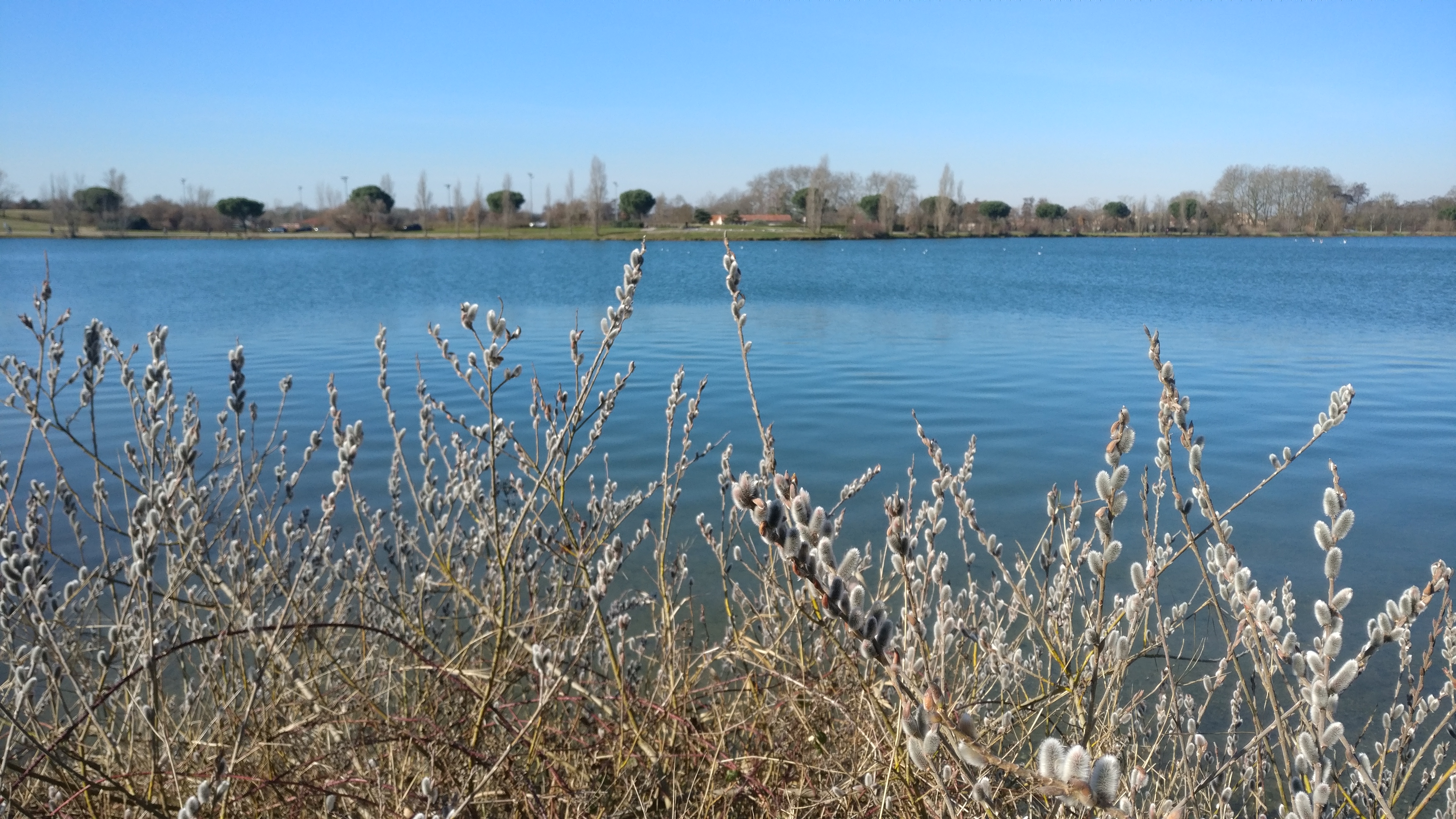 Photo n° 1 de l'avis de Ekaterina.u fait le 16/02/2019 à 14:13