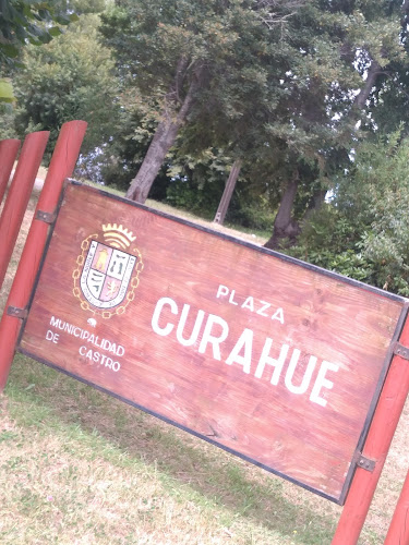 Opiniones de Escuela Rural Curahue en Castro - Escuela