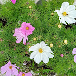 Photo n°5 de l'avis de Serena.a fait le 06/08/2020 à 05:38 sur le  Rifugio Piz Sorega à Badia