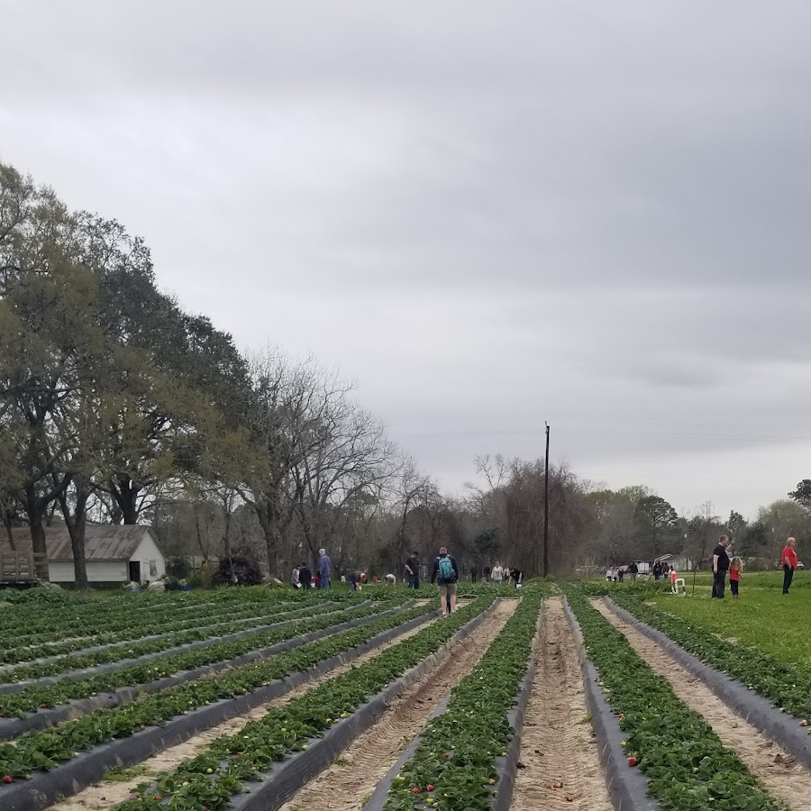 Froberg's Farm